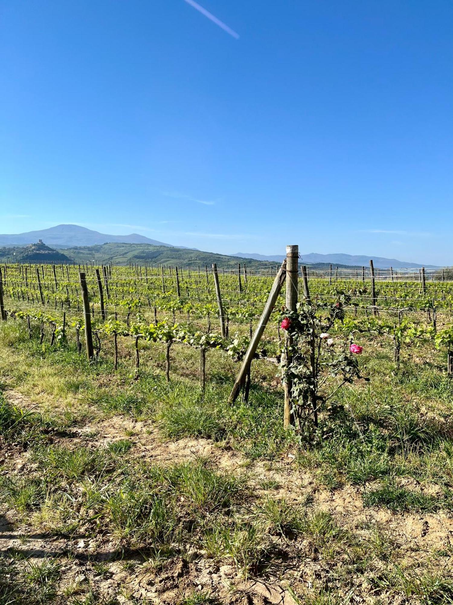 Agriturismo Le Querciole In Val D'Orcia Bagno Vignoni Luaran gambar