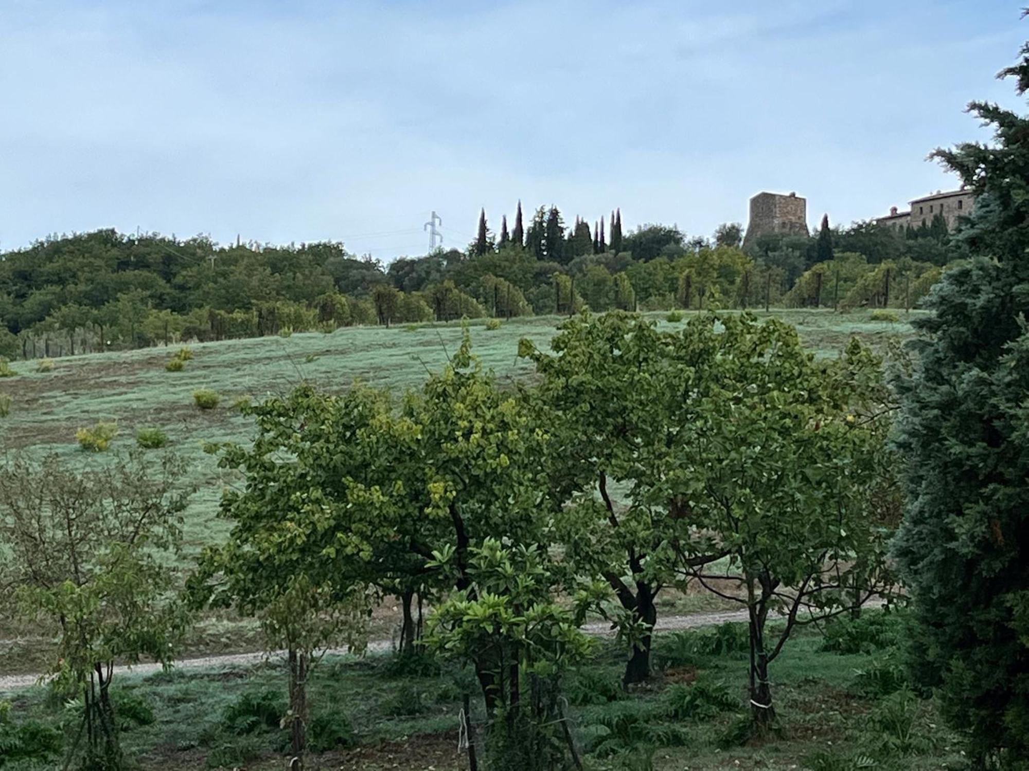 Agriturismo Le Querciole In Val D'Orcia Bagno Vignoni Luaran gambar