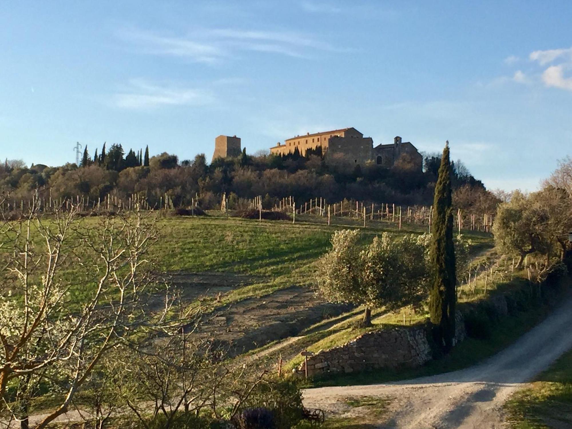 Agriturismo Le Querciole In Val D'Orcia Bagno Vignoni Luaran gambar